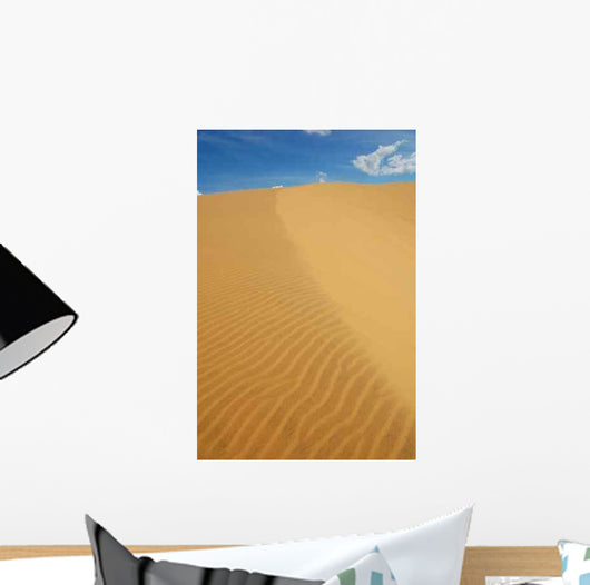 Venezuela Wall Decal