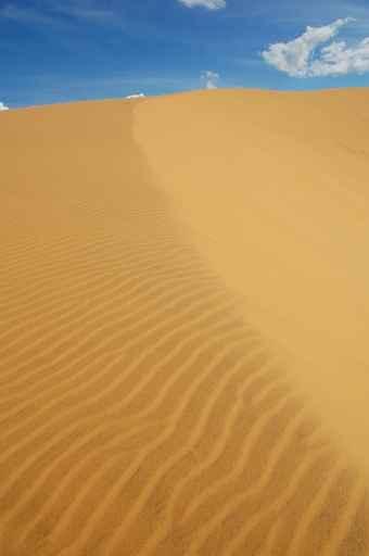 Venezuela Wall Decal