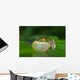 Green Tree Frog All Puffed up Wall Mural