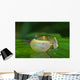 Green Tree Frog All Puffed up Wall Mural