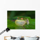 Green Tree Frog All Puffed up Wall Mural