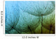 seeds with drops 