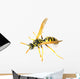 Wasp 