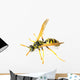 Wasp 