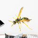 Wasp 