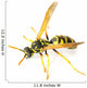 Wasp 