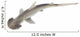 Bonnethead Shark Wall Decal