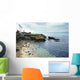 California Beach Wall Mural