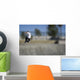 Skateboarder Riding Over Lip of Ramp Wall Mural