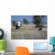 Skateboarder Riding Over Lip of Ramp Wall Mural