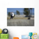 Skateboarder Riding Over Lip of Ramp Wall Mural