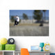 Skateboarder Riding Over Lip of Ramp Wall Mural