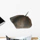 Stingray Wall Decal