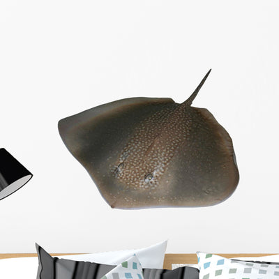 Stingray Wall Decal shown on a wall