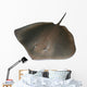 Stingray Wall Decal