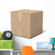 Closed cardboard box Wall Decal