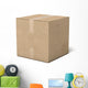 Closed cardboard box Wall Decal