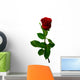 Single Red Rose on a White Background Wall Decal