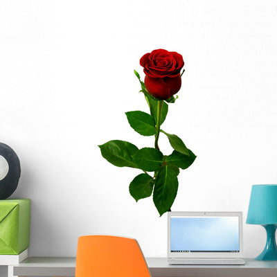 Single Red Rose White Wall Decal shown on a wall