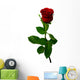 Single Red Rose on a White Background Wall Decal