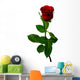 Single Red Rose on a White Background Wall Decal