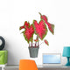 Small potted caladium plant ready for transplanting into a garde Wall Decal