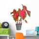 Small potted caladium plant ready for transplanting into a garde Wall Decal