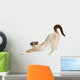 Cat Stretching Isolated on White Background 