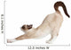 Cat Stretching Isolated on White Background 