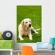 dreaming Wall Mural