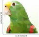 Abstract Vector Triangle Parrot 