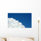 Sky Flowers White Amp Wall Decal