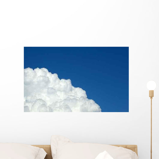 Sky Flowers White Amp Wall Decal
