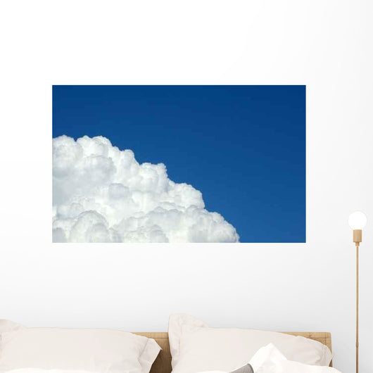 Sky Flowers White Amp Wall Decal