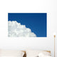 Sky Flowers White Amp Wall Decal