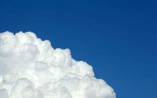 Sky Flowers White Amp Wall Decal
