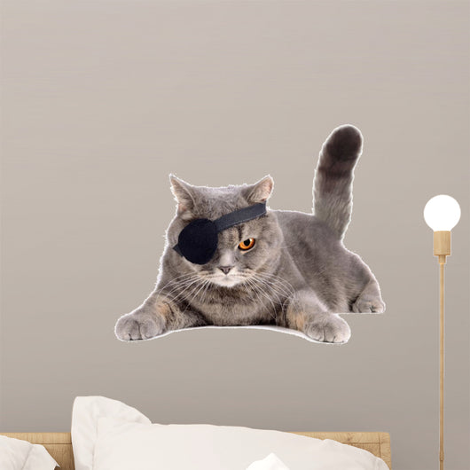 One-eyed cat 