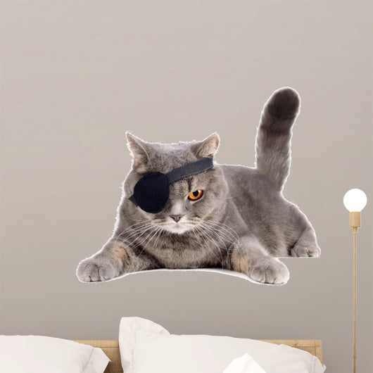 One-eyed cat 