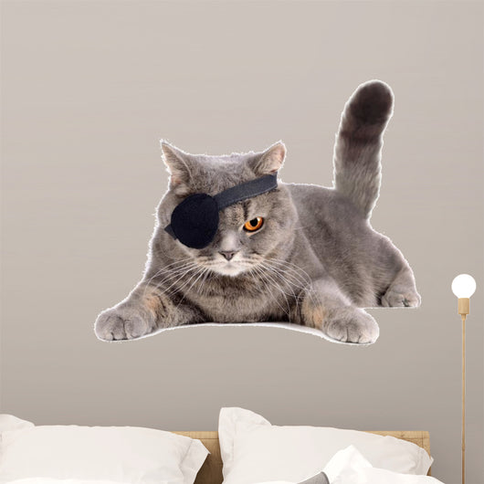One-eyed cat 