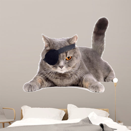 One-eyed cat 