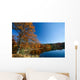 Colorful tree near a lake in autumn Wall Mural