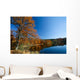 Colorful tree near a lake in autumn Wall Mural