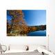 Colorful tree near a lake in autumn Wall Mural