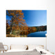 Colorful tree near a lake in autumn Wall Mural