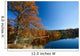 Colorful tree near a lake in autumn Wall Mural