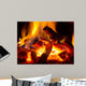 flame of fire 