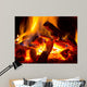 flame of fire 