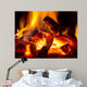 flame of fire 