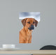 Rhodesian Ridgeback 