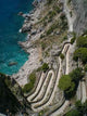 Via Krupp Capri Wall Decal